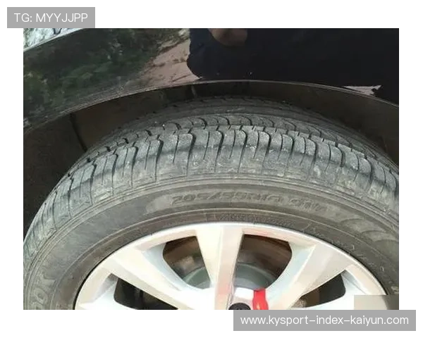 诺里斯轮胎磨损太快