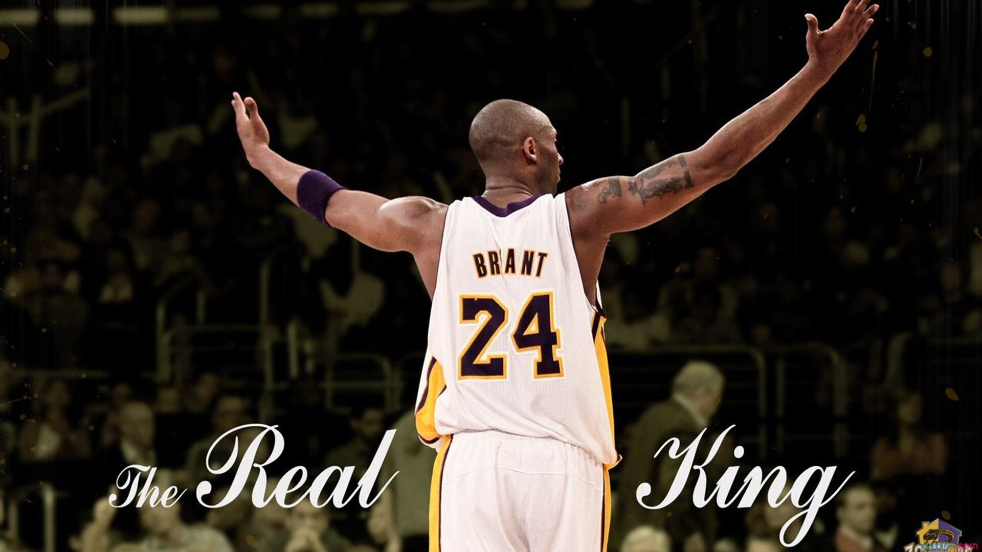 体操比赛难度动作不断提升，体操赛比赛规则